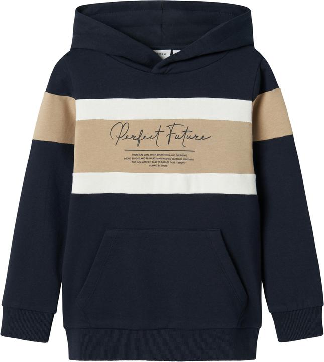 Name it Regular Fit Hoodie (122)