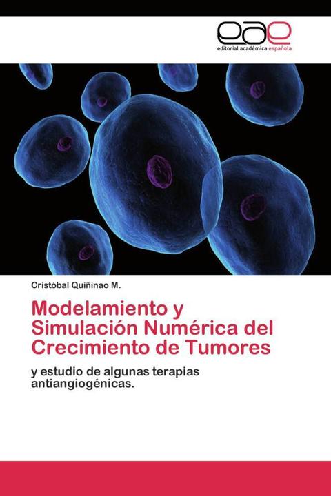 Immagine prodotto Modelamiento y Simulación Numérica del Crecimiento de Tumores (Cristóbal Quiñinao M., 2011)