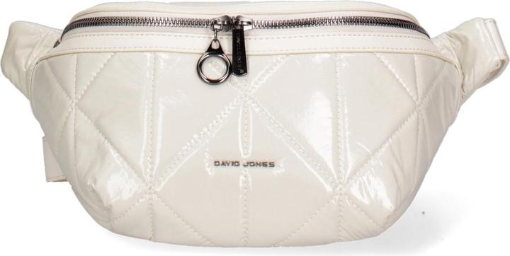 David Jones Belt bag