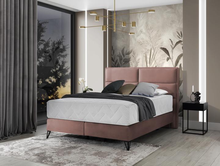 Pink Nube 24