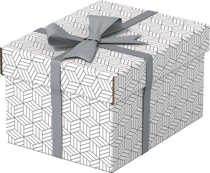 Esselte HOME - Aufbewahrungsboxen (20 x 15 cm)