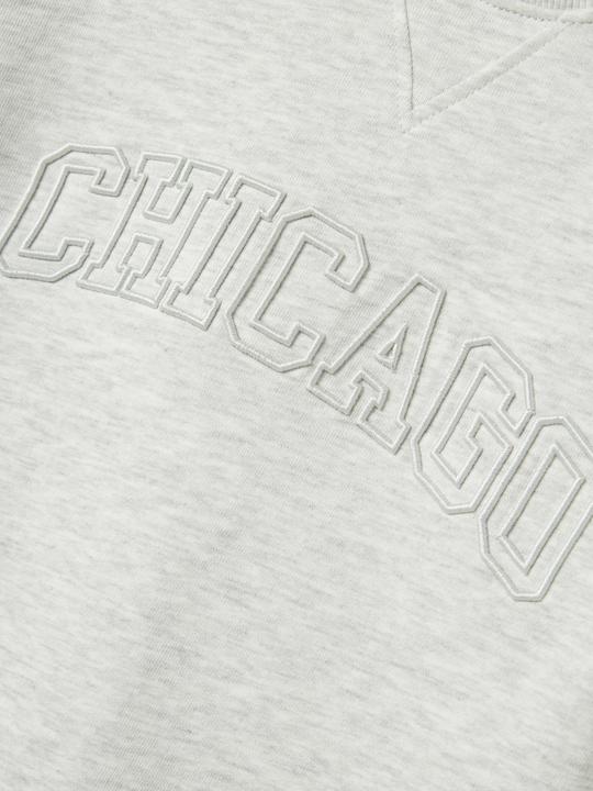 Actual product image Name it Bio-Baumwoll Sweatshirt (134)