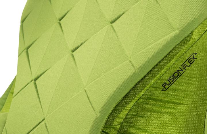 Actual product image Gregory Alpinisto 50 Backpack Large (50 l)