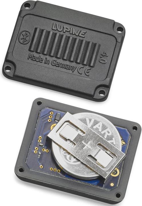 Image du produit Lupine Blika