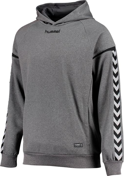 Actual product image hummel Authentic Charge Poly Hoodie (116)