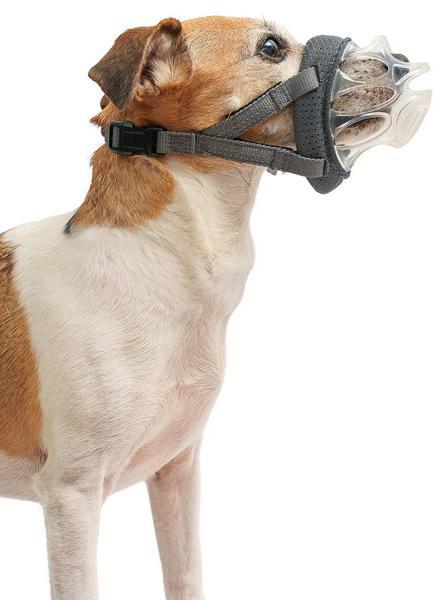 Immagine prodotto Baskerville Muselière INVISA (4, Cane)