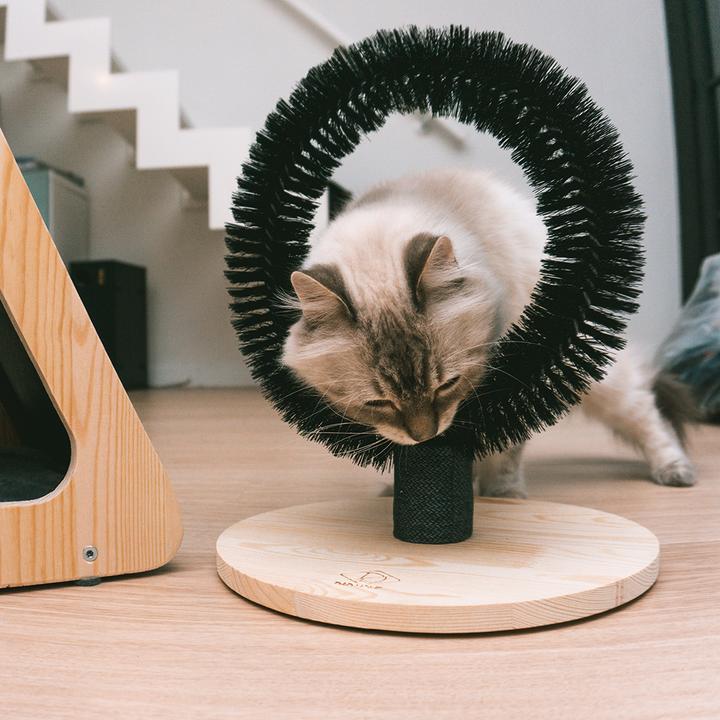Immagine prodotto EBI Palla flash LED Duvo+ (Palla giocattolo per cani)