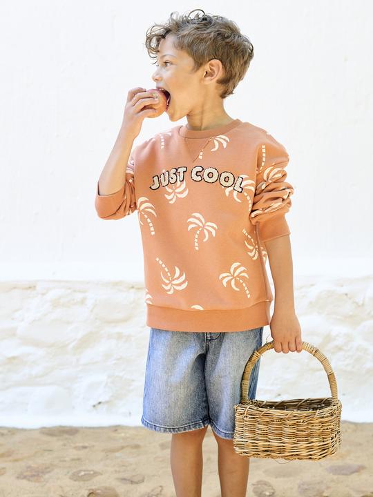Produktbild Vertbaudet Jungen Sweatshirt mit Frottee-Motiv und Recycling-Polyester (86)