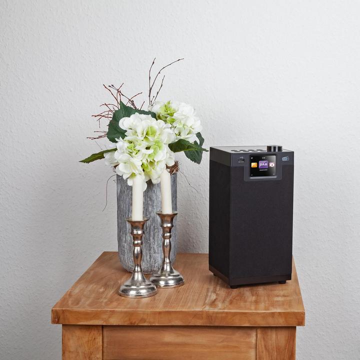 Produktbild Imperial Dabman i610 (Internetradio, DAB+, UKW, FM, Bluetooth, WLAN)
