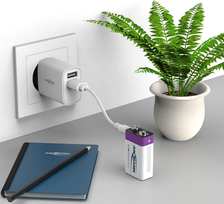 Immagine prodotto Ansmann Premium ricaricabile (1 pz., 9V Block, 400 mAh)