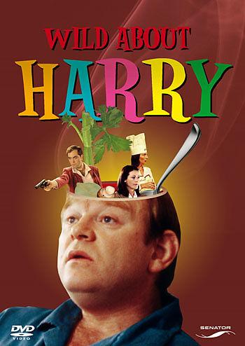 Actual product image Wild about Harry (DVD, 2000, German, English)
