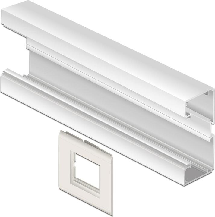Image du produit Delock Support de module Easy 45 pour canal de montage d'appareils 85 x 80 mm