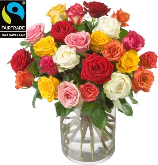 Fleurop Bouquet di rose (24 rose) con rose Fairtrade Max Havelaar a fiore piccolo (inclusa consegna (Fiori recisi)