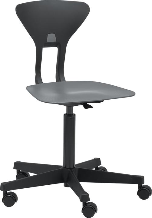 Flexa Drehstuhl Ray /