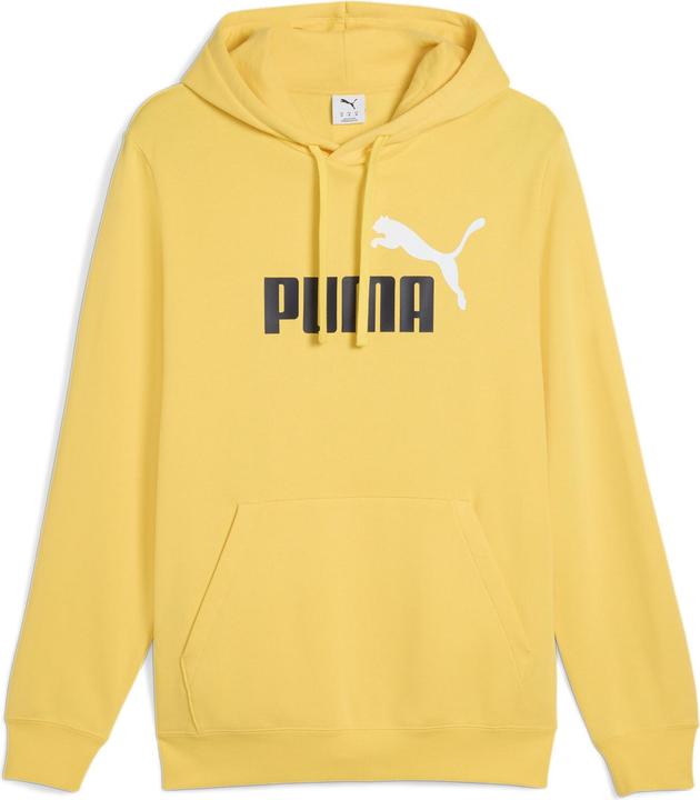 Puma ESS 2 COLOR No. 1 Logo Hoodie TR