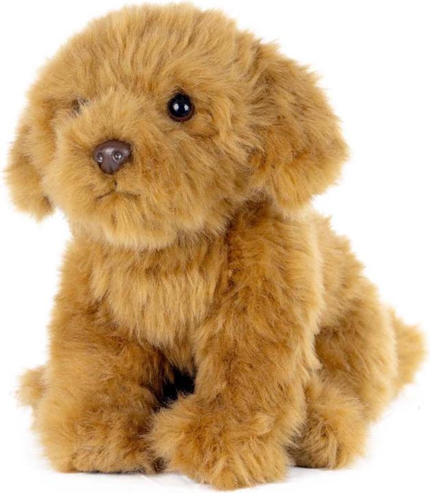 Image du produit Living Nature Cavoodle (20 cm)