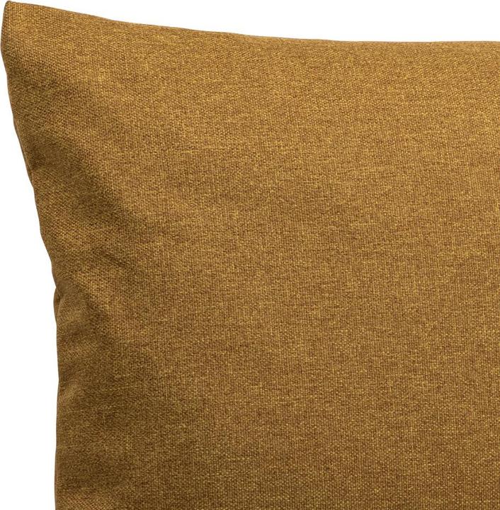Immagine prodotto Freistil Rolf Benz Freistil 160 (60 x 40 cm)