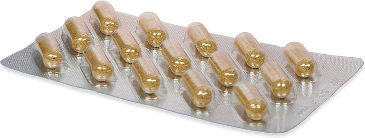 Image du produit Badkan TM plus articulations os (150 pièce(s), Capsules, 139 g)