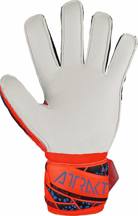 Produktbild Reusch Attrakt Solid (6)
