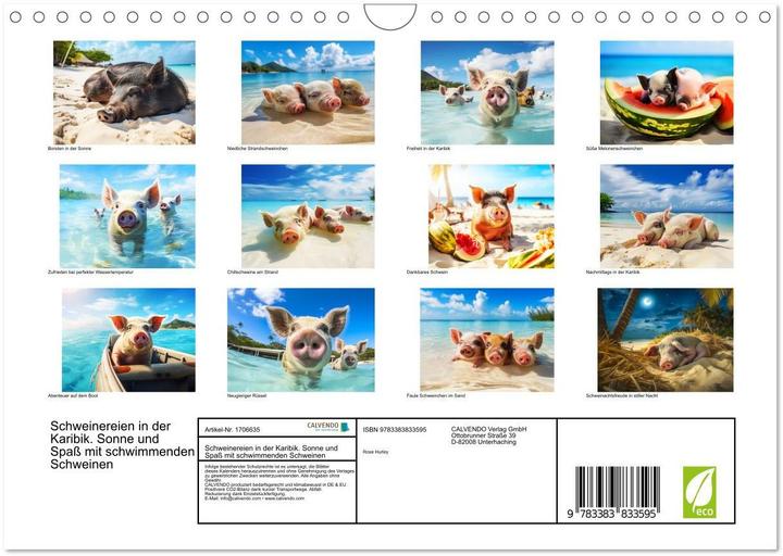 Produktbild Schweinereien in der Karibik. Sonne und Spa mit schwimmenden Schweinen (Wandkalender 2025 DIN A (A4, Kein Einband, Deutsch)