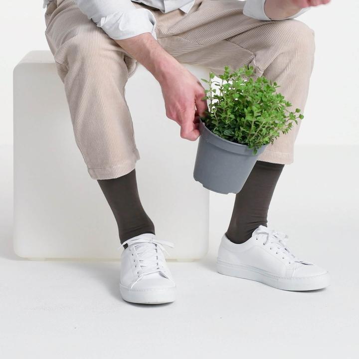Immagine prodotto Blacksocks Comfort organico (Confezione singola, 37 - 39)