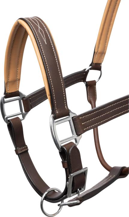 Image du produit Horze licol pour cheval sophistication leather