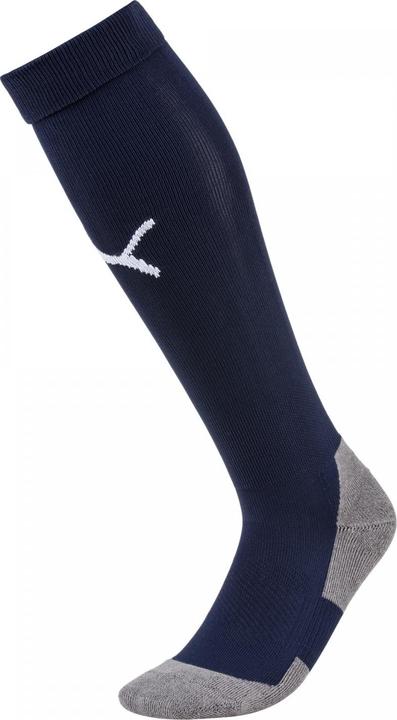 Actual product image Puma Team LIGA Socks CORE-703441 (43, 47)