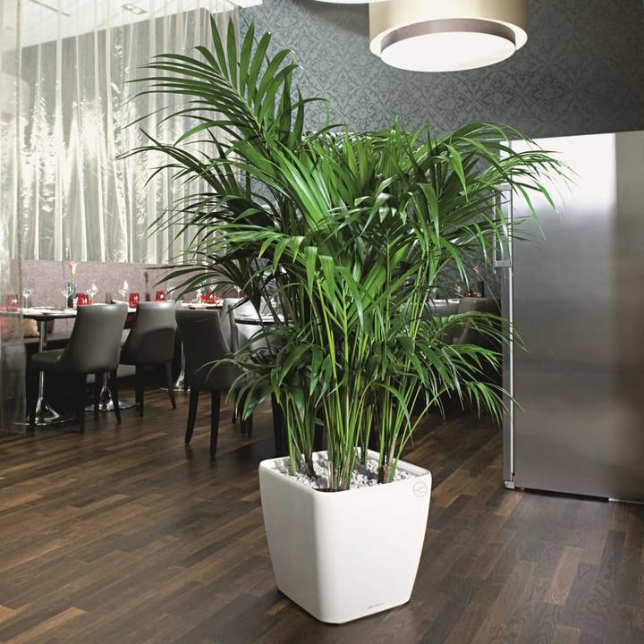 Produktbild Lechuza Quadro LS (28 cm)