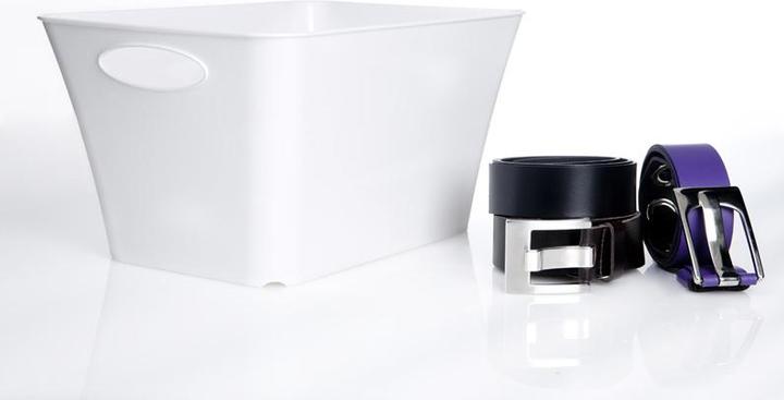 Image du produit Rotho Livingbox (26 x 19.2 x 36.5 cm, 11 l)