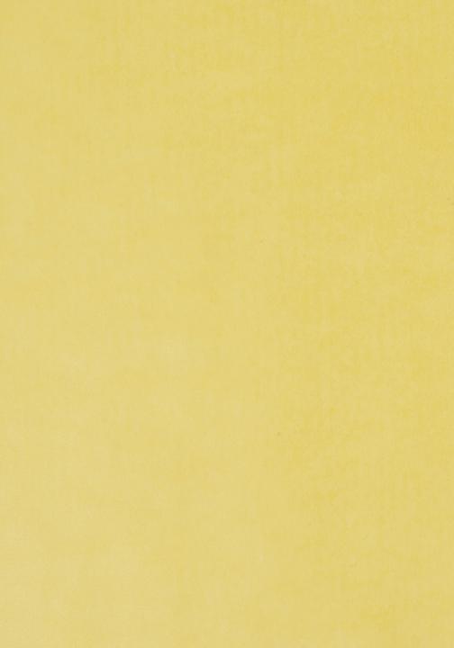 Actual product image Folia Transparent paper, (W)500 x (H)700 mm, 42 g/sqm, coloured (42 g/m², 1 x)