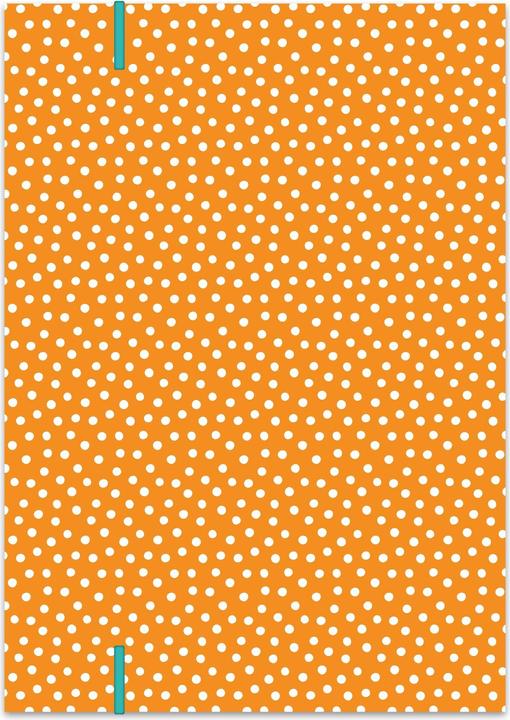 Actual product image Papierdrachen School folder set of 2 DIN A4 - Circus (VE 4)