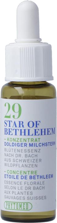 Image du produit Phytomed Bachblüten No29 Doldiger Milchstern (1 pièce(s), Liquide, 22 g)