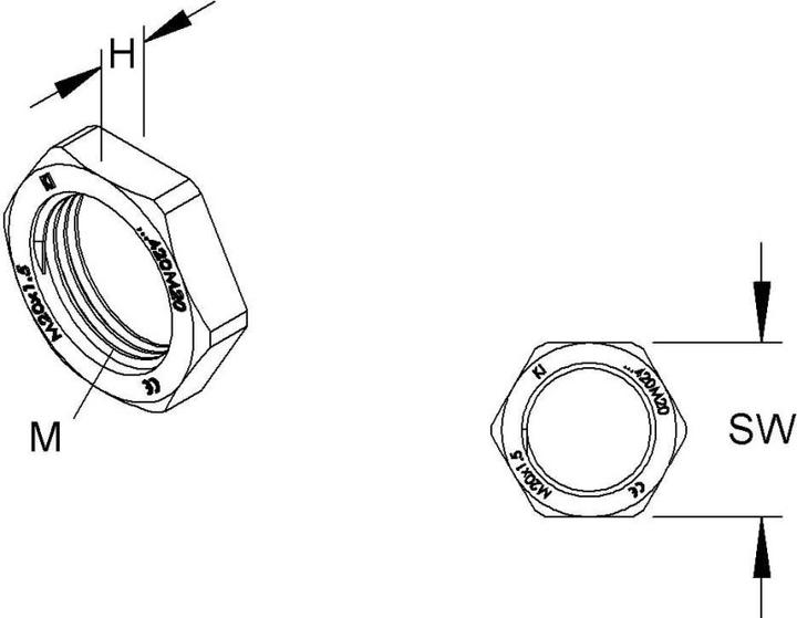 Actual product image HKL hexagon nut (M20)