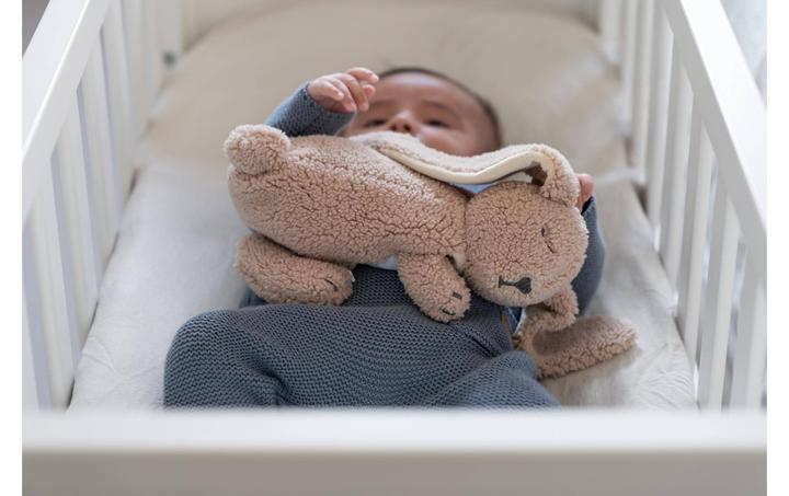 Image du produit Doomoo Peluche chauffante Snoogy Bunny (22 x 22 cm)