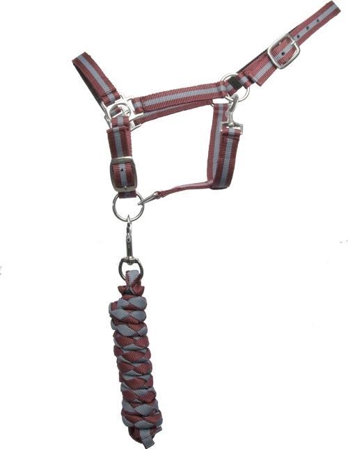 Image du produit TdeT Licol pour cheval double + longe