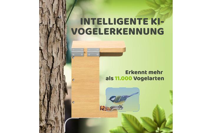 Actual product image Sanilu Clean Sanilu Vogelfutterhaus mit Kamera ohne Solarpanel, Grundfarbe