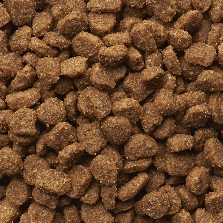 Image du produit Iams Pro Active Health Adult Hairball Control (Adulte, 1 pcs, 10000 g)