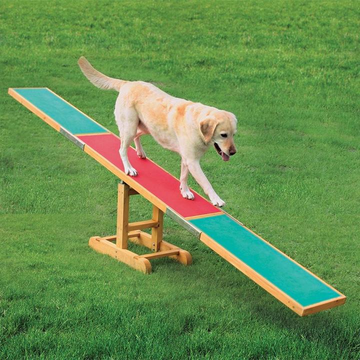 Image du produit Trixie Agility