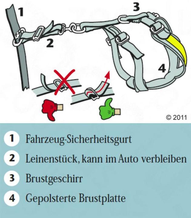 Image du produit Kleinmetall Ceinture de sécurité Allsafe pour chiens (M, Chien, Travail, Sport canin, Jogging, Promenade)