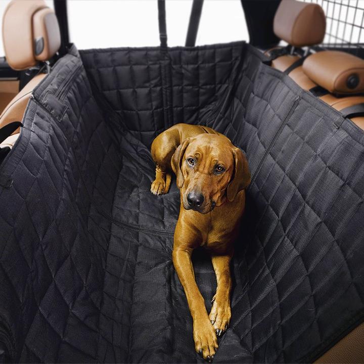 Actual product image Kleinmetall allside comfort (Dog)