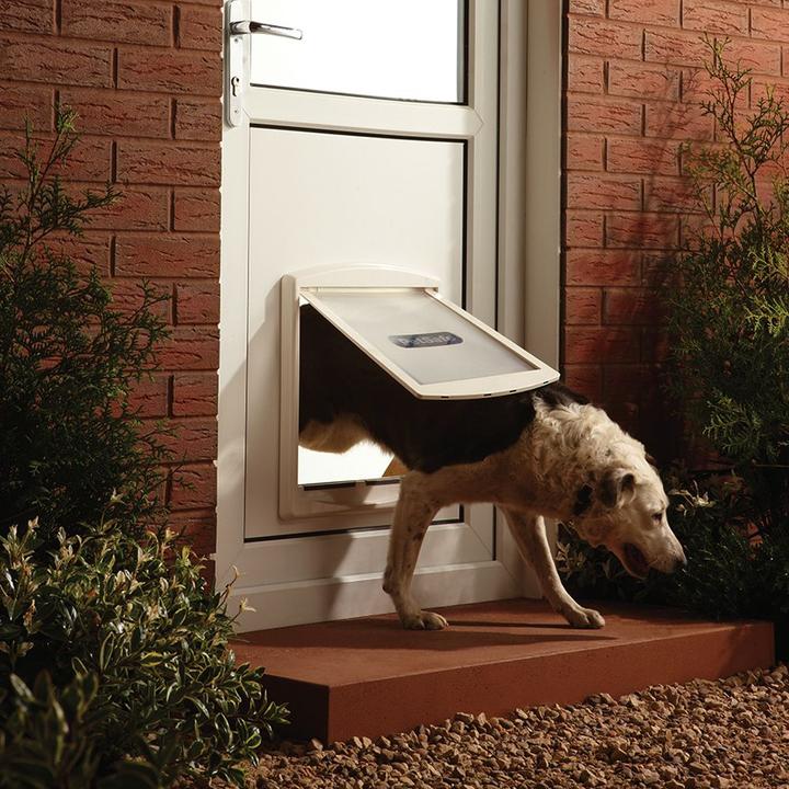 Actual product image PetSafe Dog flap Staywell type 760 - 45,6 cm x 38,6 cm