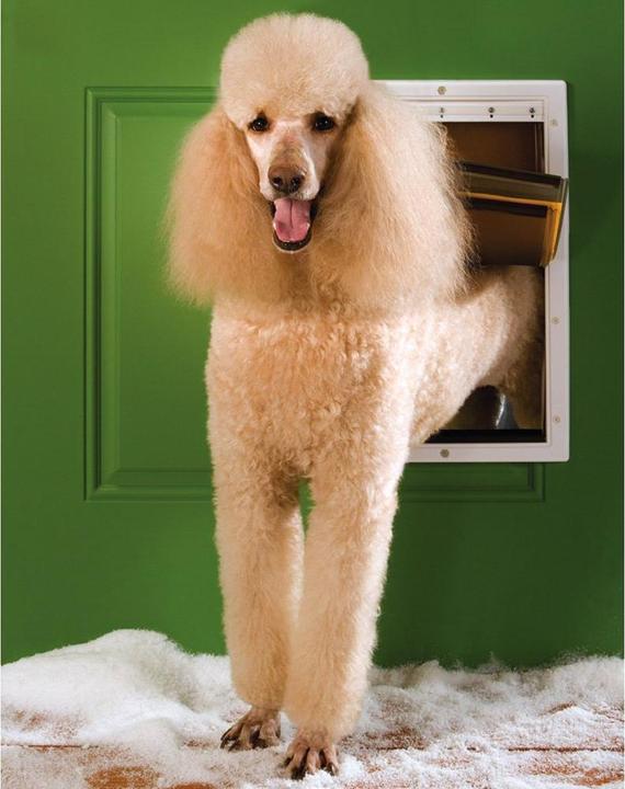 Produktbild PetSafe Hundeklappe Extreme Weather (Manuelle Katzenklappe)