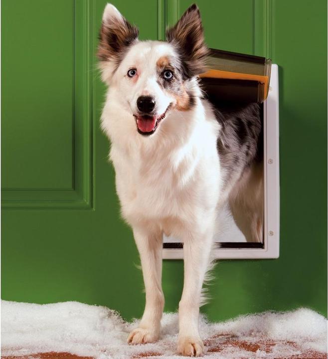 Produktbild PetSafe Hundeklappe Extreme Weather (Manuelle Katzenklappe)