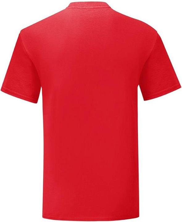 Image du produit Fruit of the Loom T-shirt Iconic 150 (4XL)