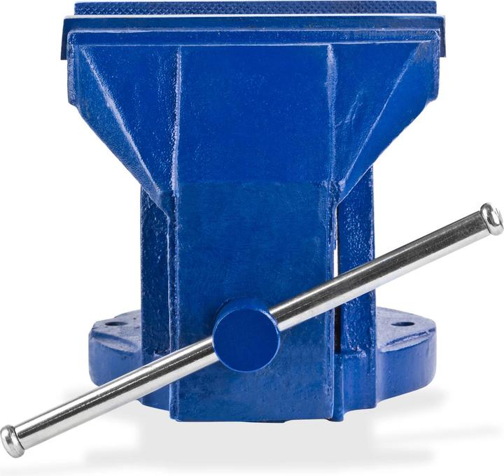Actual product image Dema Vice 'Profi ' solid cast iron 200mm 36kg (200 mm)