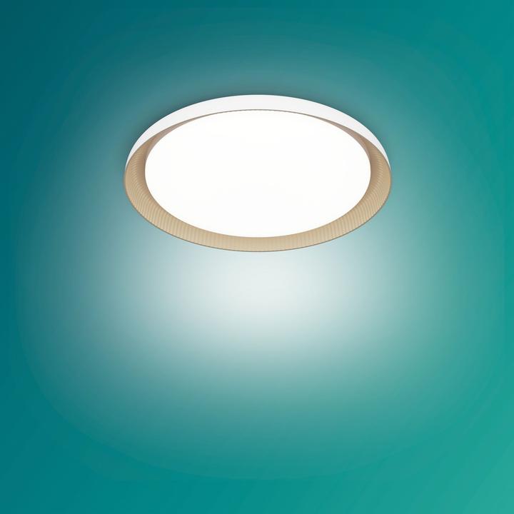 Actual product image Philips Pebblo Ultra (1850 lm)