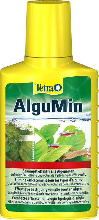 Actual product image Tetra AlguMin (Water treatment aquarium)