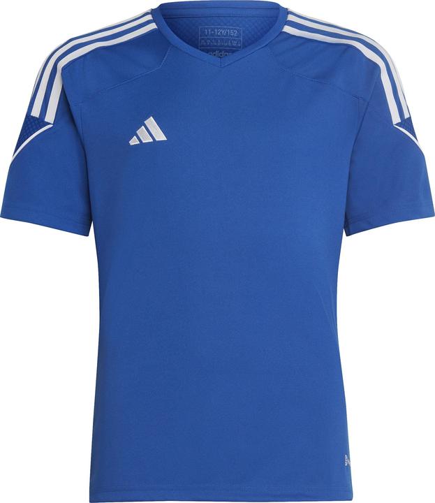 adidas Tiro 23 Ligatrikot Kinder Blau HR4621 (116cm) (116)