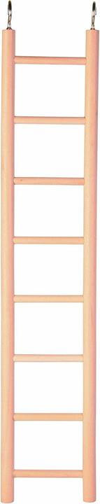 Trixie Echelle en bois