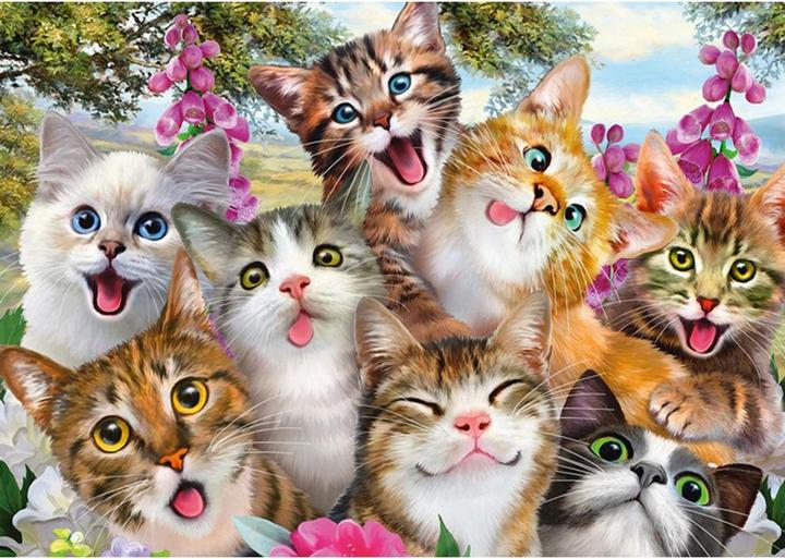 Produktbild Schmidt Spiele Katzen Selfie (500 Teile)